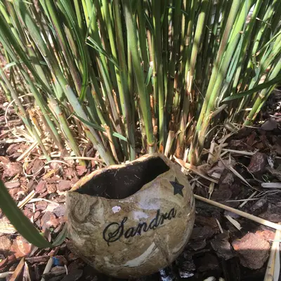 Kaarshouder gepersonaliseerd